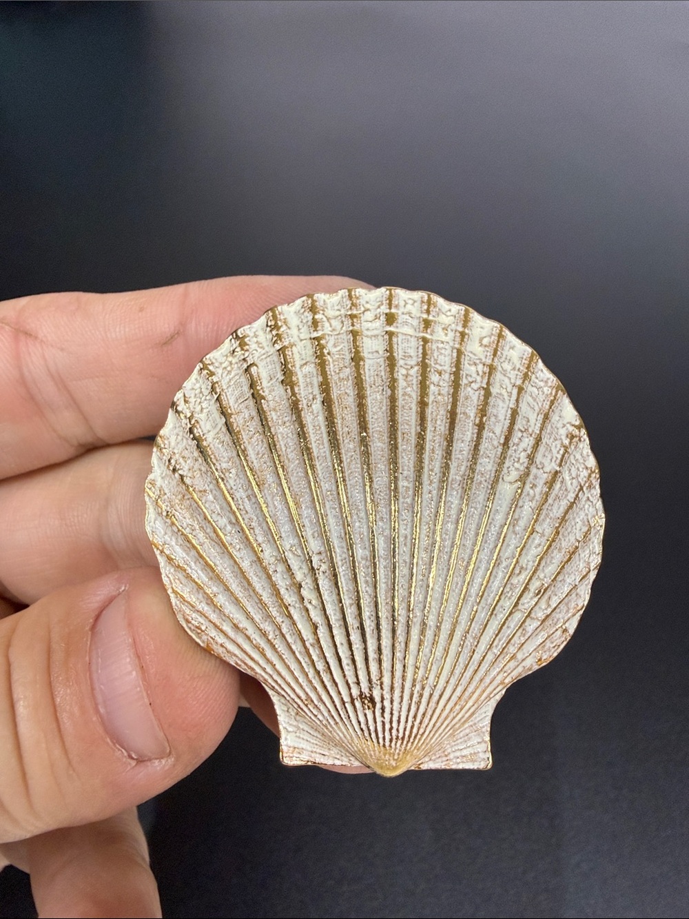 Shell-Shaped Brooch in White and Gold